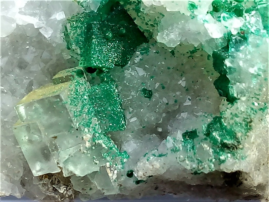 Minéraux de la mine CLARA autres que la Fluorite et la barite - Page 5 Img_1294