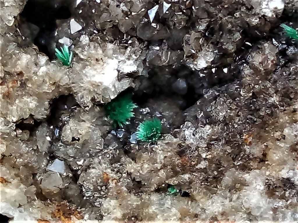Divers micros ,Azurite ,malachite ,baryte sur quartz. Img_1393