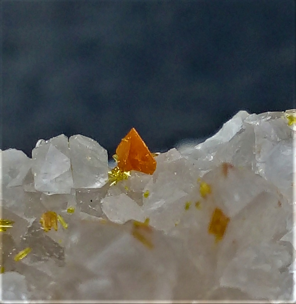 Minéraux de la mine CLARA autres que la Fluorite et la barite - Page 3 Img_2399