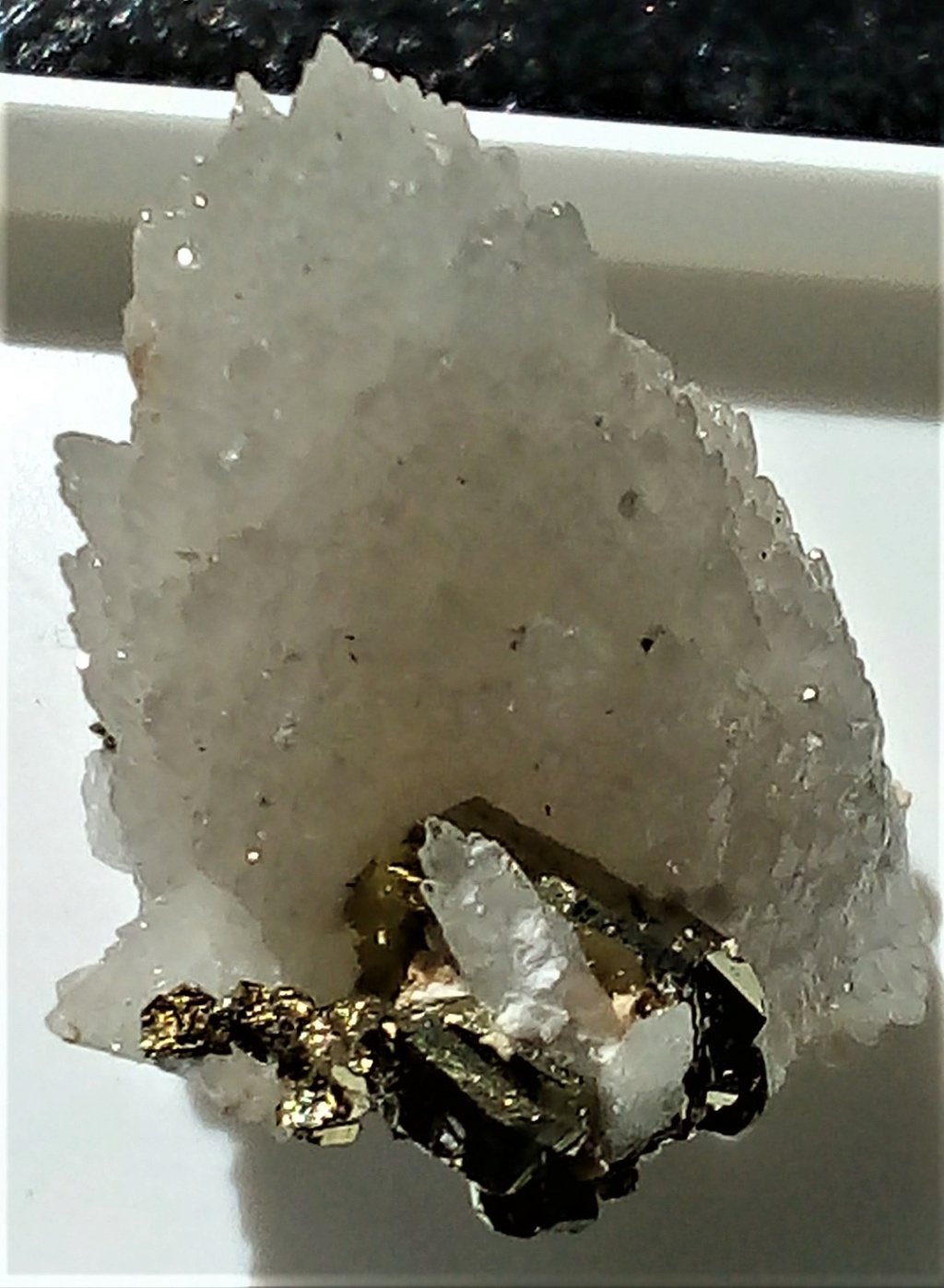 Minéraux de la mine CLARA autres que la Fluorite et la barite - Page 3 Img_2461
