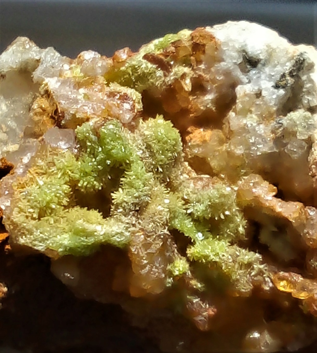 Pyromorphite Schauinsland Mt Img_2552