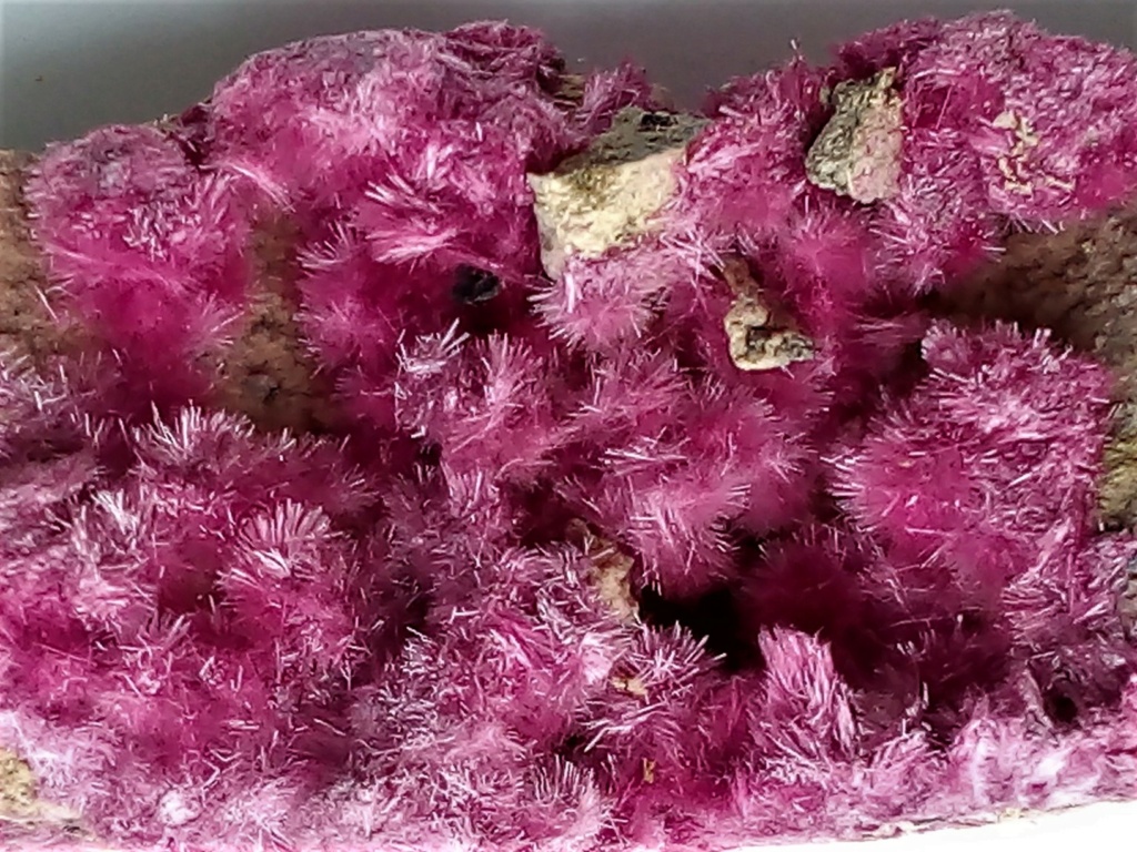 ERYTHRITE  aciculaires Img_2970