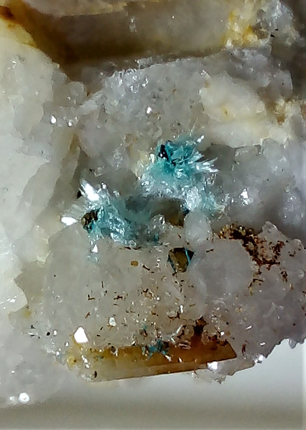 Minéraux de la mine CLARA autres que la Fluorite et la barite - Page 4 Img_2994