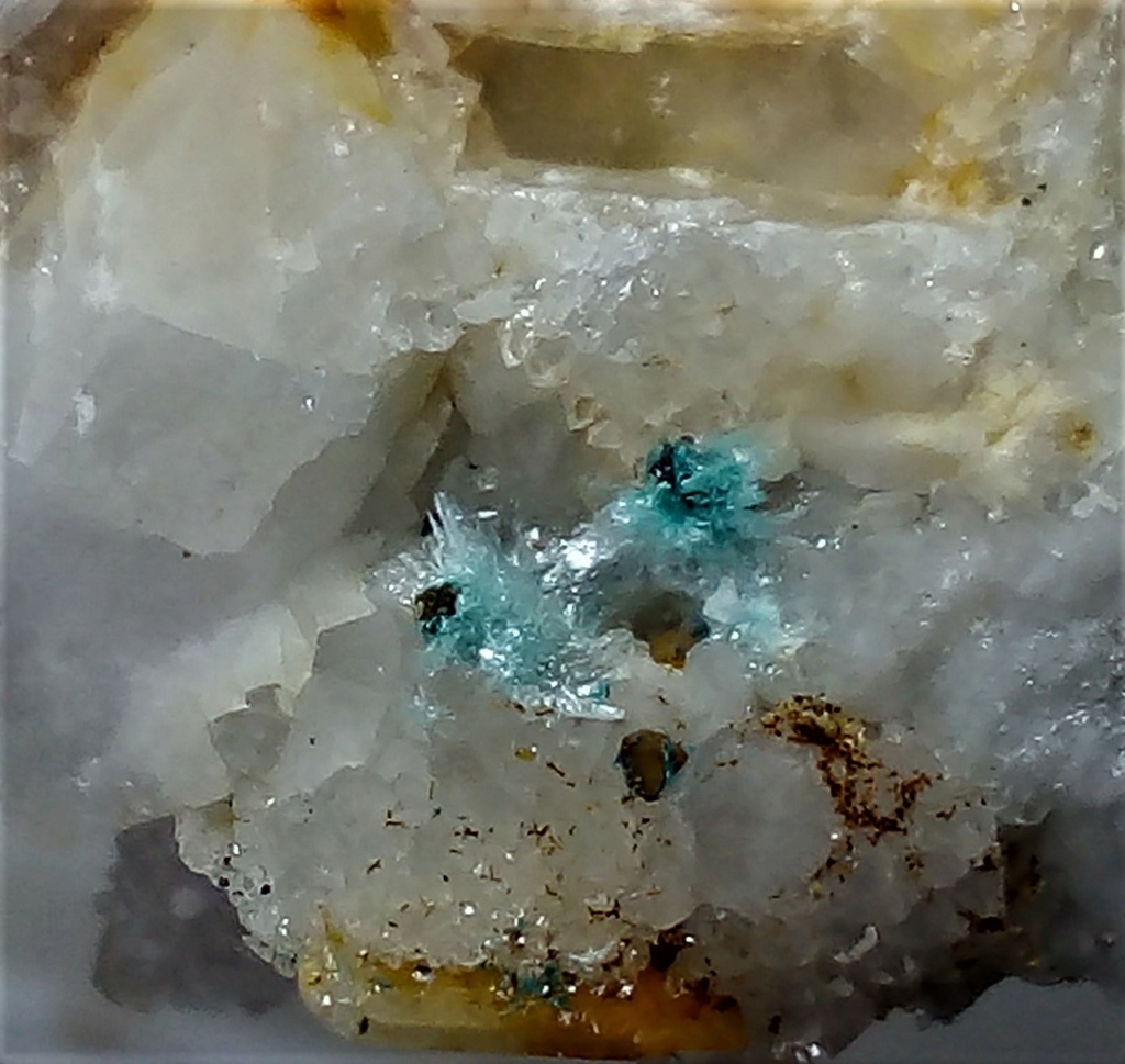 Minéraux de la mine CLARA autres que la Fluorite et la barite - Page 4 Img_2996