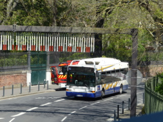 Les bus TISSEO Ligne_12