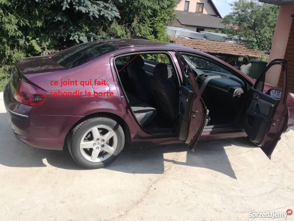 mes 2 peugeot 407  (1pour projet) Peugeo12