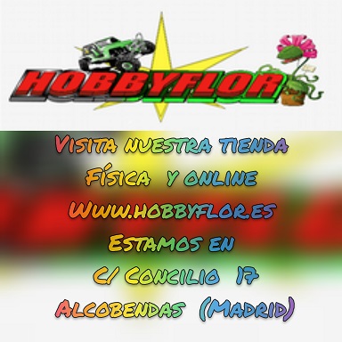 Hobbyflor.es - Ultimas Novedades y ofertas - Página 2 -513