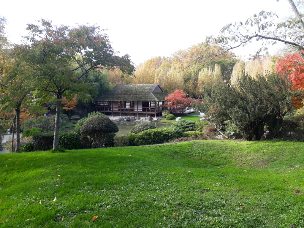 Jardin japonais de Toulouse.  20191126