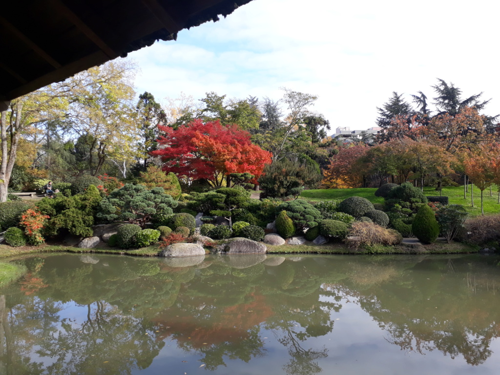 Jardin japonais de Toulouse.  20191132