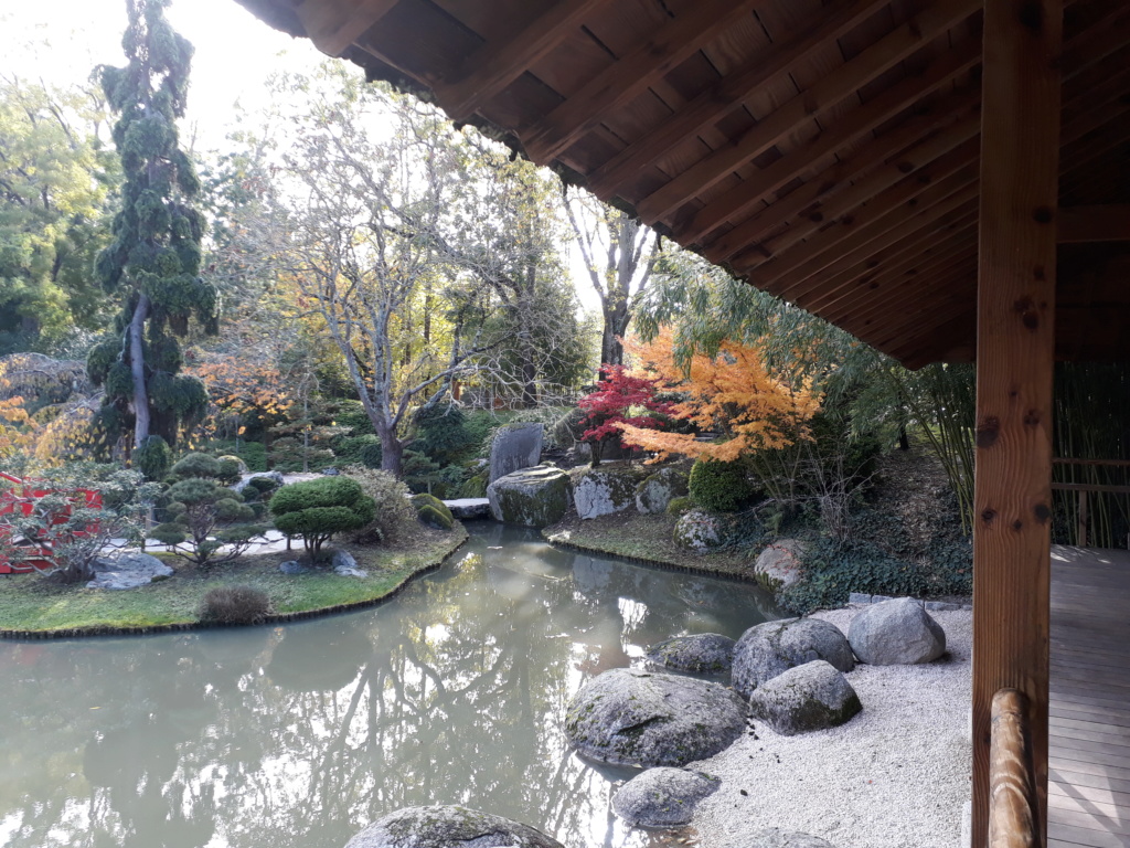 Jardin japonais de Toulouse.  20191133