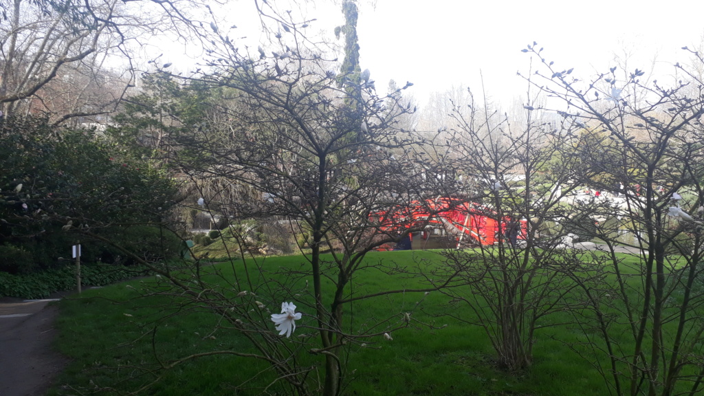 Jardin japonais de Toulouse.  20200212