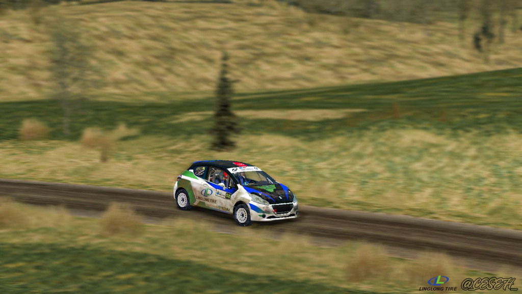 Peugeot Rally Cup y Citroen Rally Cup - RBR Argentina 208_tr10