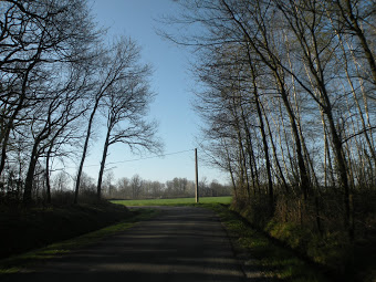 balade 30mars 2021 dans l'Ain et le Jura Dscn0110