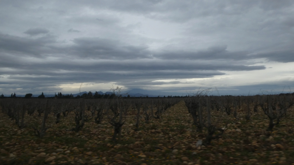 direction le sud du jeudi 10 Mars  2022 Au 14mars 2022 P1080827