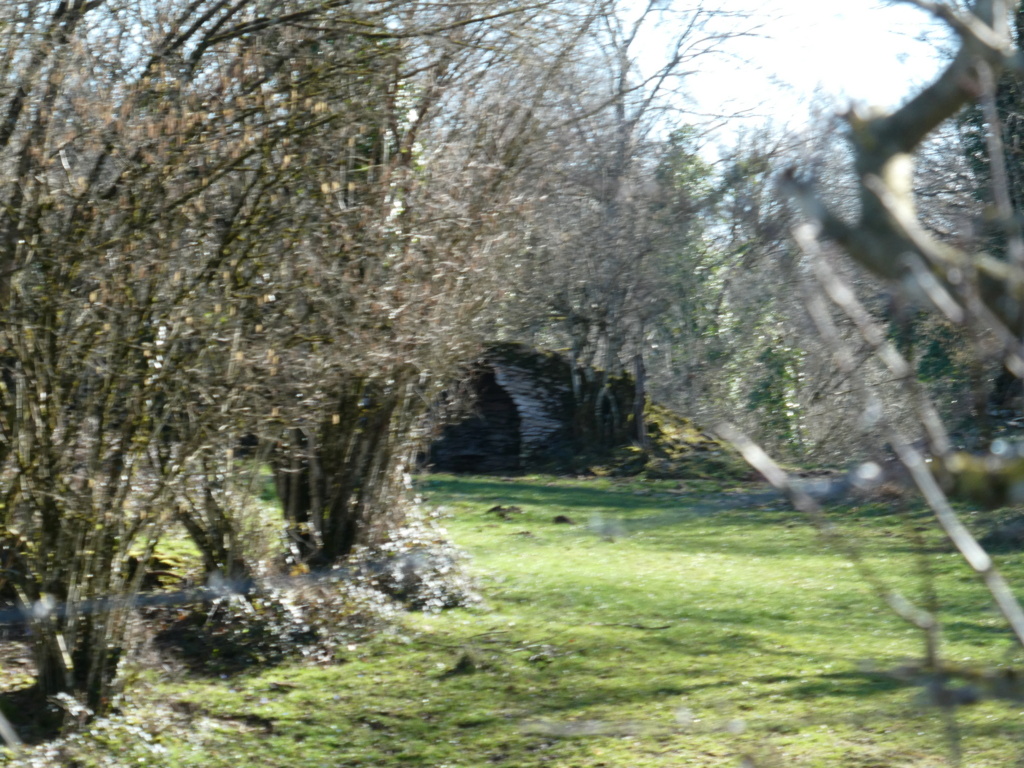 petite balade direction le lac de Vouglans le 07 Mars 2024 P1470217