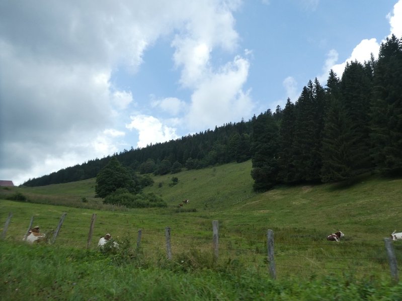 06 ET07 août 2024 direction le val de Cusance   Sulqq110