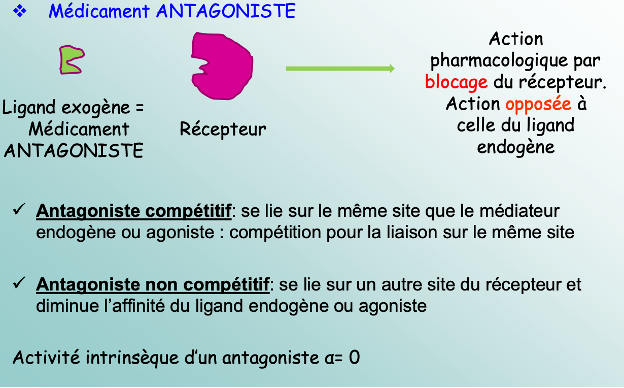 ligand exogène/ endogène  Ag210