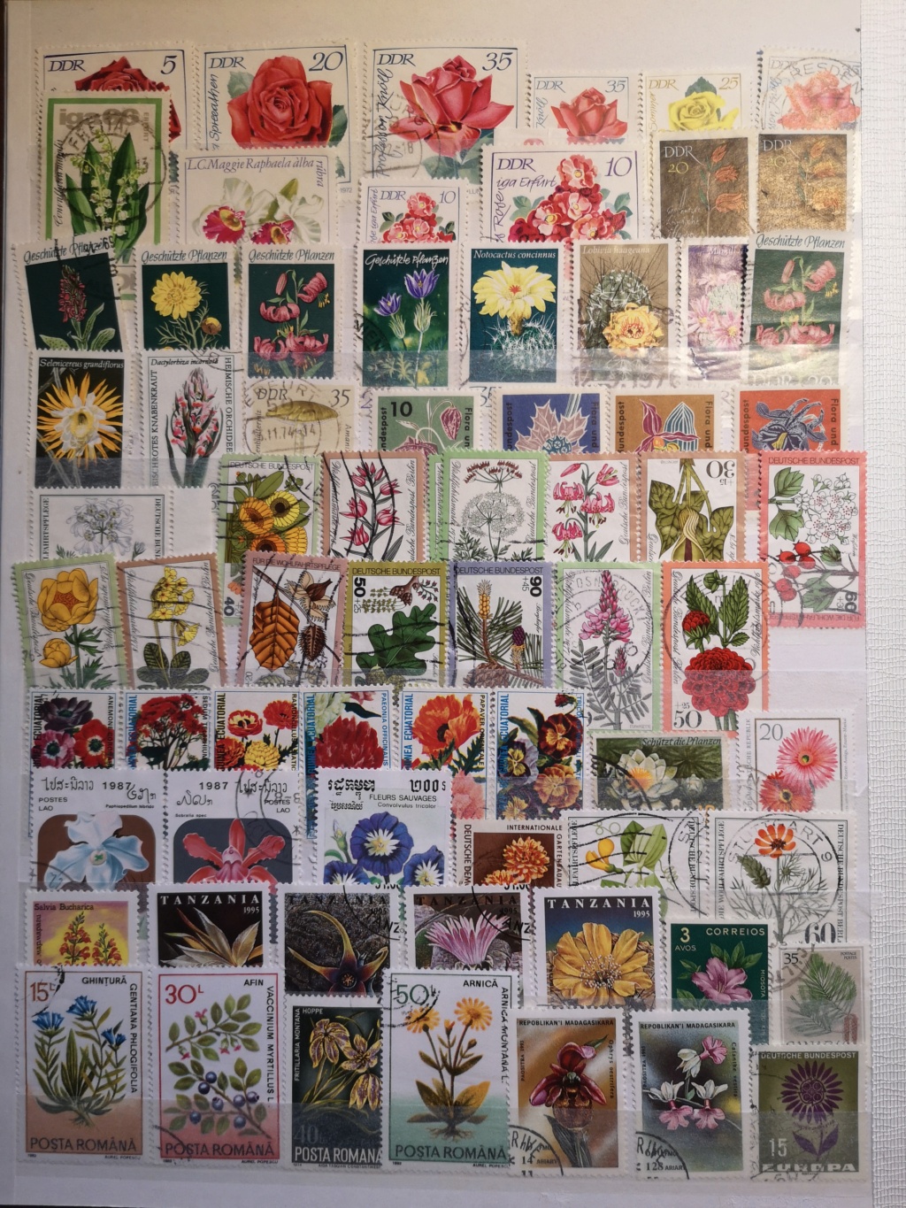 Briefmarken Sammlung  110