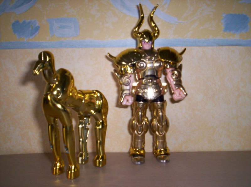 Le chevalier d'or du capricorne 100_3615