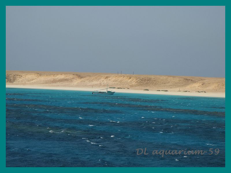 Voyage en Egypte Mer Rouge La_mer18