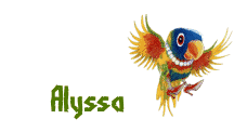 Album d'Alyssa de yoyo FP
