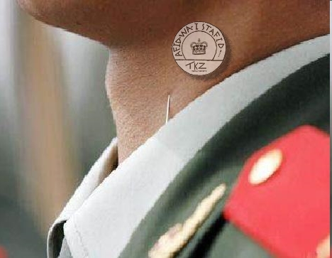 لماذا يرفع الجندي الصيني رأسه دائما؟ Soldat11