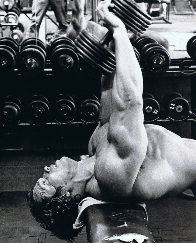 Arnold Schwarzenegger en photos - Page 9 Ccf07120