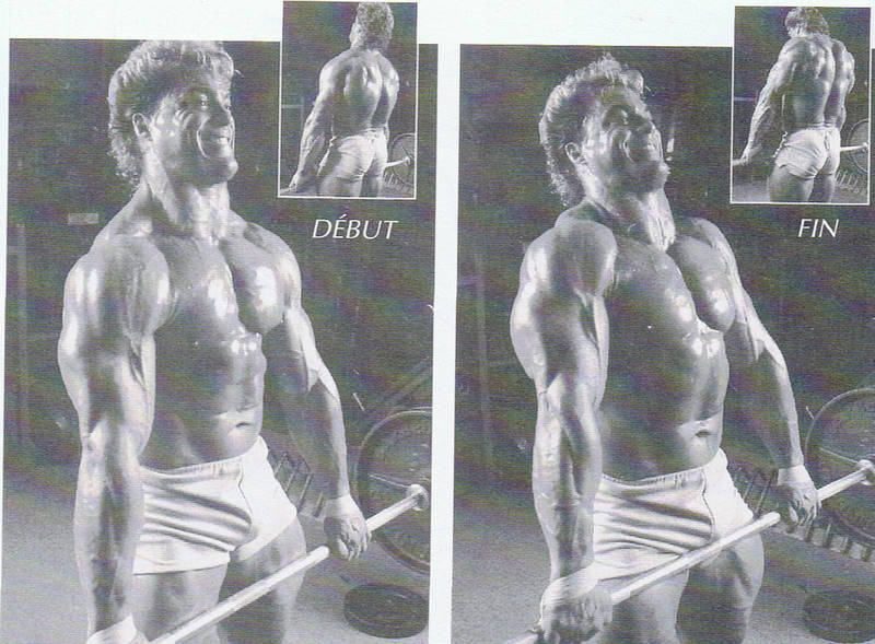 Bodybuilder - Page 6 Ccf09018