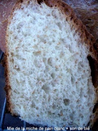 Miche de pain au son de blé  P1110719