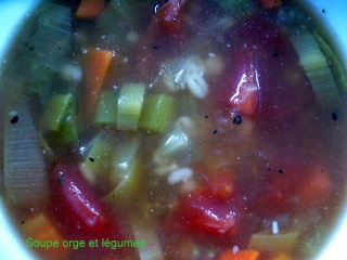 Soupe à l'orge et aux légumes ( 0.5 flexi points ) P1110926