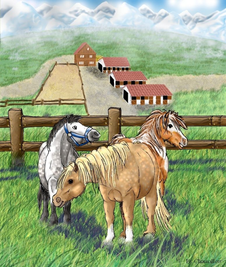 Vos dessins de chevaux - Page 6 Poneys11