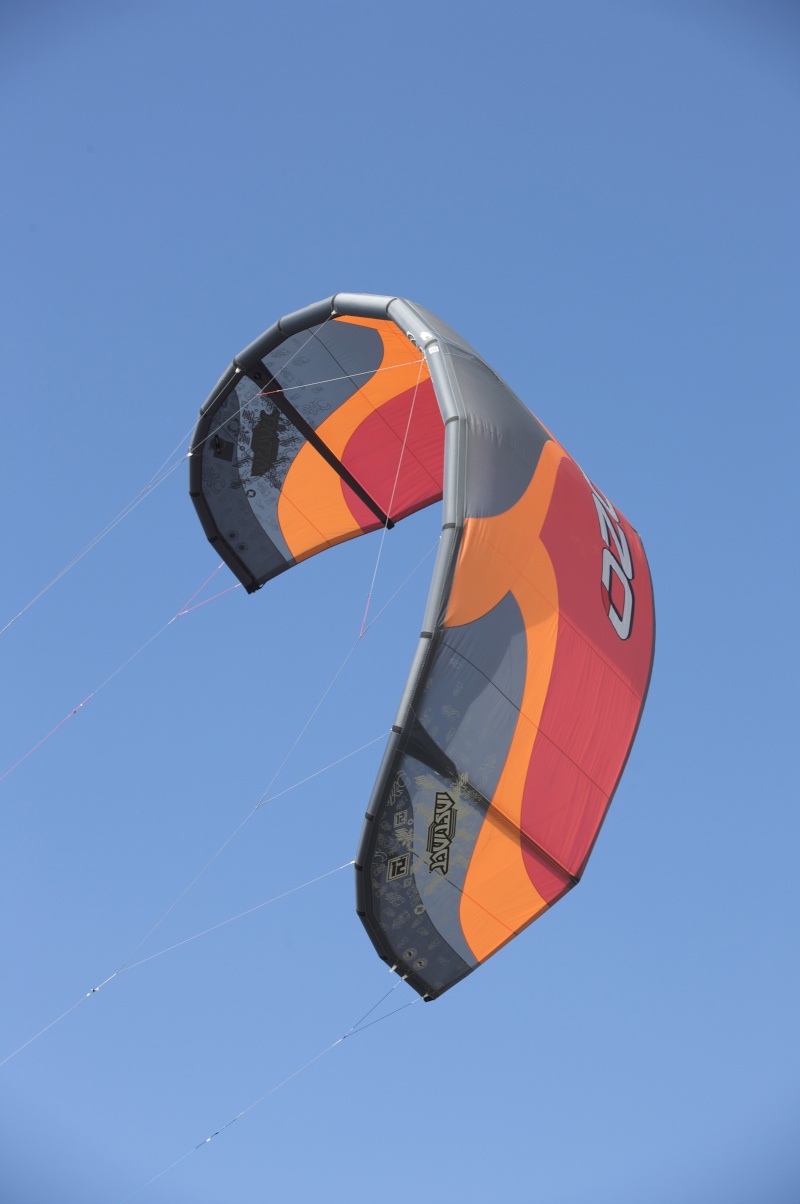 Les instincts 09 L110
