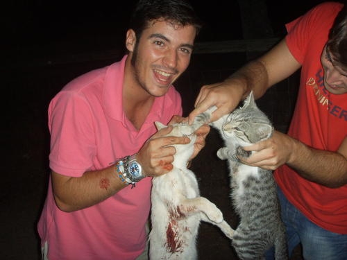(Esp)Un activiste du Parti Populaire maltraitant des animaux Gatos_11