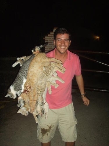 (Esp)Un activiste du Parti Populaire maltraitant des animaux Gatos_12