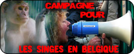 Belgique: Manifestations de la CAV le vendredi 19 juin. Singes10