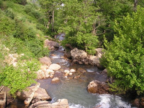 Akfadou riviere  Akfado11
