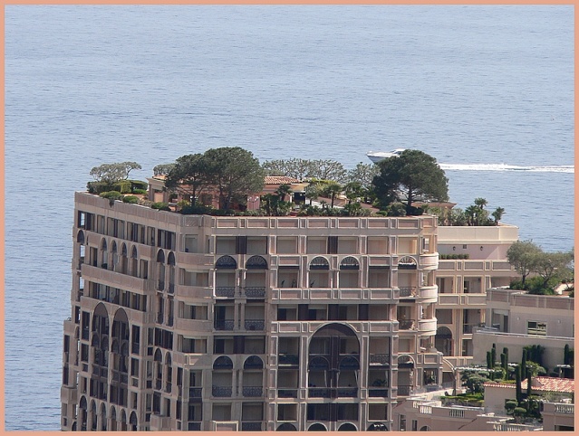 jardin botanique de Monaco P1180615