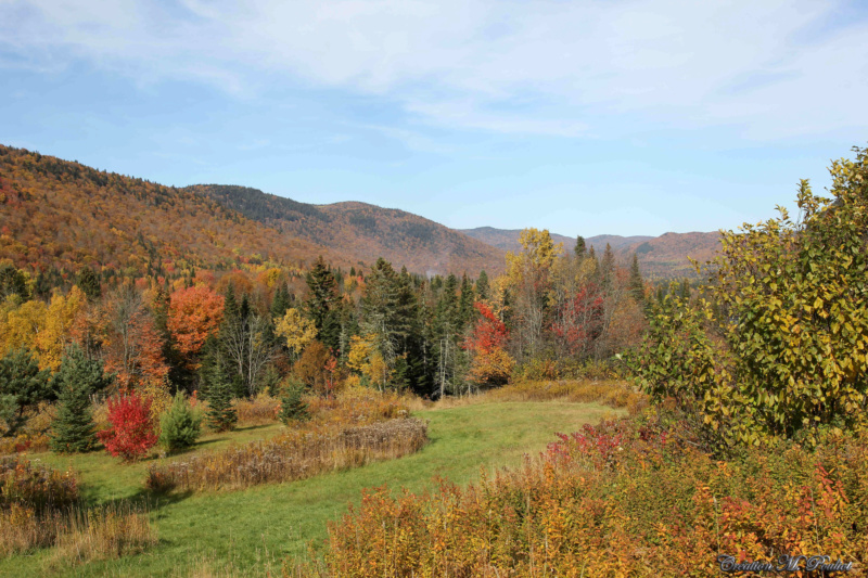 Vallée de la Jacques Cartier aux couleurs d'automne Img_4212