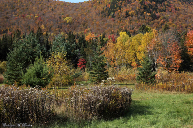 Vallée de la Jacques Cartier aux couleurs d'automne Img_4215
