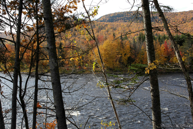 Vallée de la Jacques Cartier aux couleurs d'automne Img_4216