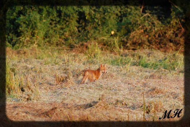 Photos et Vidéos de Méné Hoguéné Dsc_0384