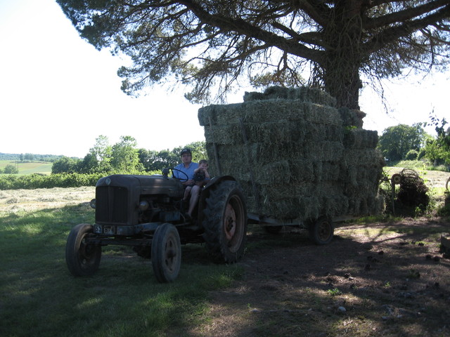 Fordson au foin 157