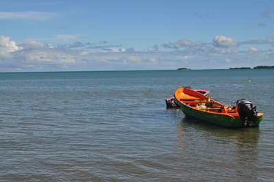 Guadeloupe 2010 Dsc_0467