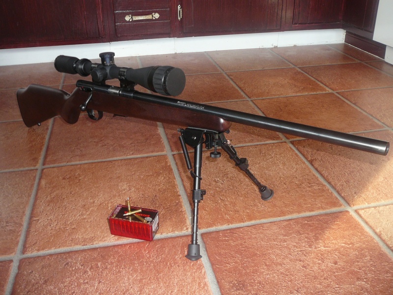 Scope BSA (photo) 17hmr_10