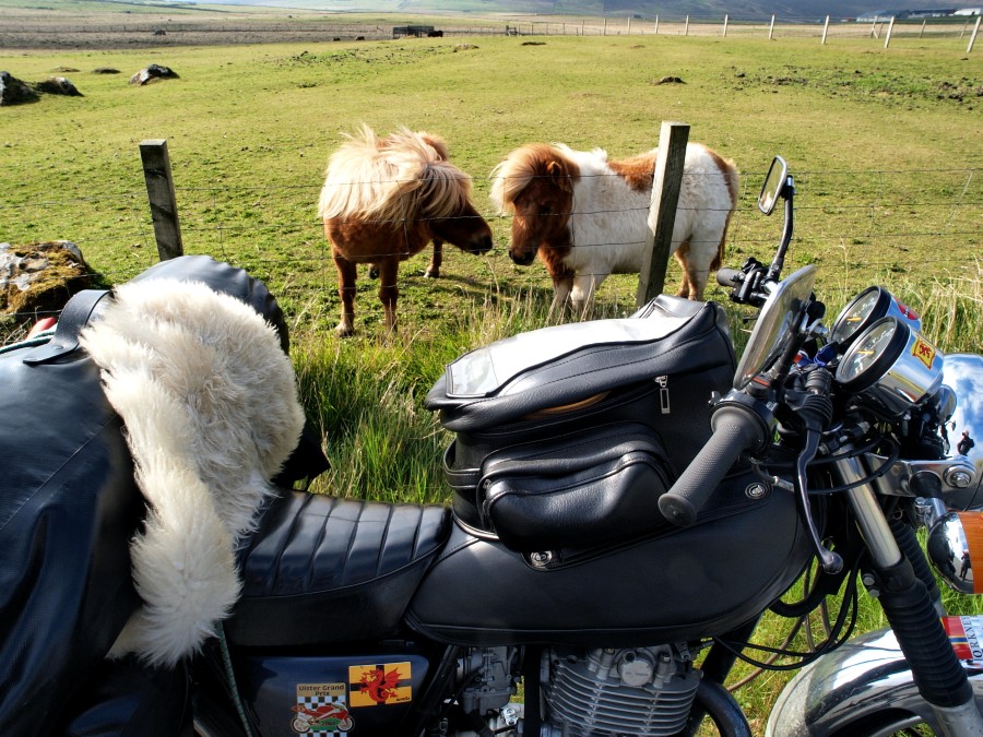 Archipels Orkney & Shetland à moto P5161210