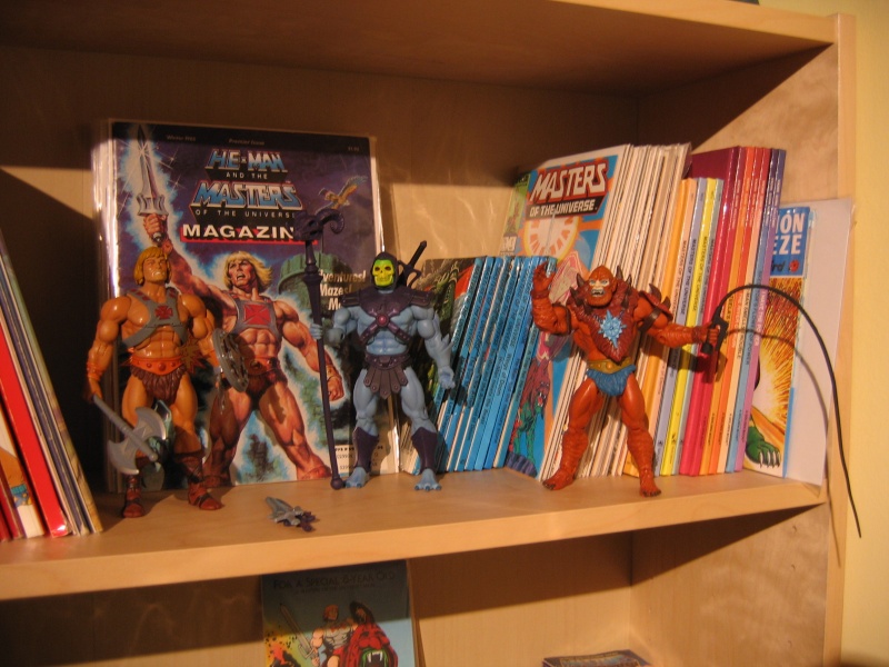 Comment exposez vous votre collec MOTUC? - Page 2 Img_5812