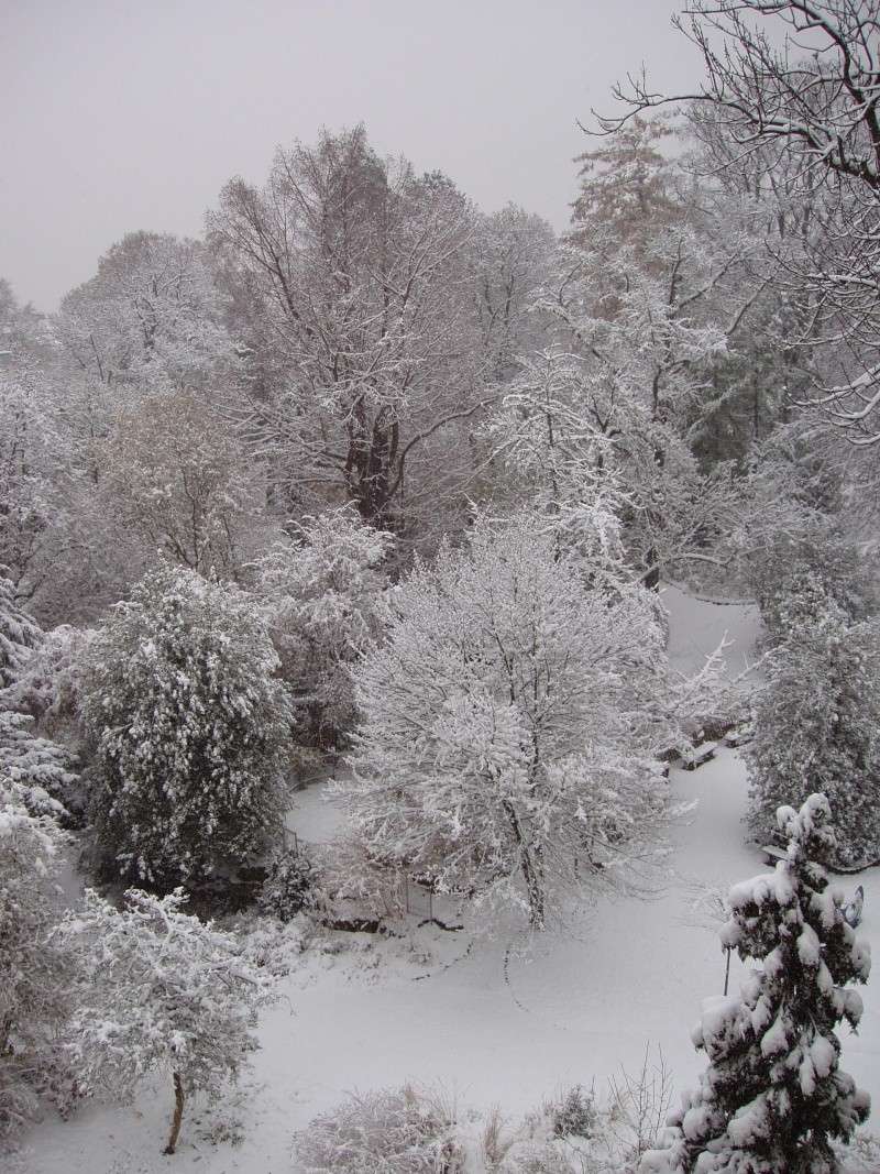 Hourra, la neige est là!! Pb290011