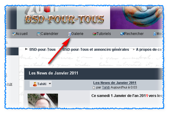 Les News de Janvier 2011 1804