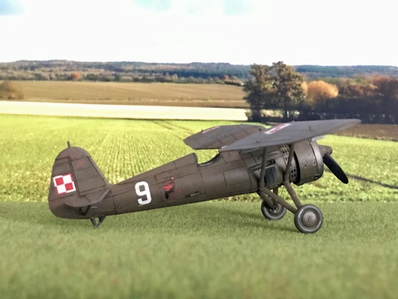 PZL P.11c (Arma Hobby) Escadrille de chasse 131 du Dyon. III/3 - Pologne 1939 Img_4930
