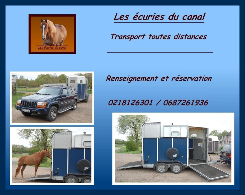 Transport chevaux Fiche_10